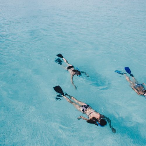 A group of snorkelers in clear blue water.