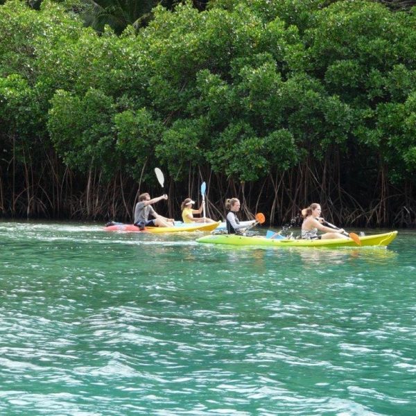 daku-resort-kayak A group kayak along the forest line.