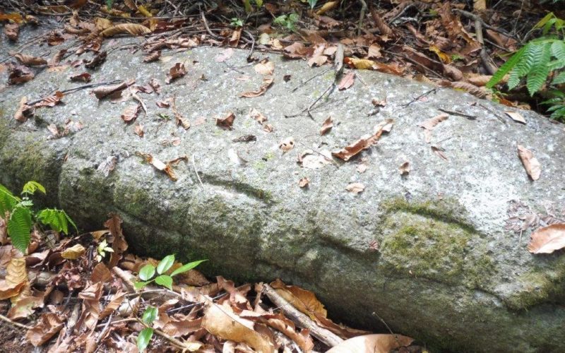 One of the huge fallen monoliths near Dakuniba village.