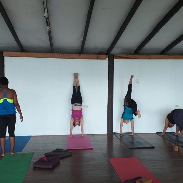 Yoga retreat Nicci McGrath Handstands Yoga retreat Nicci McGrath Handstands
